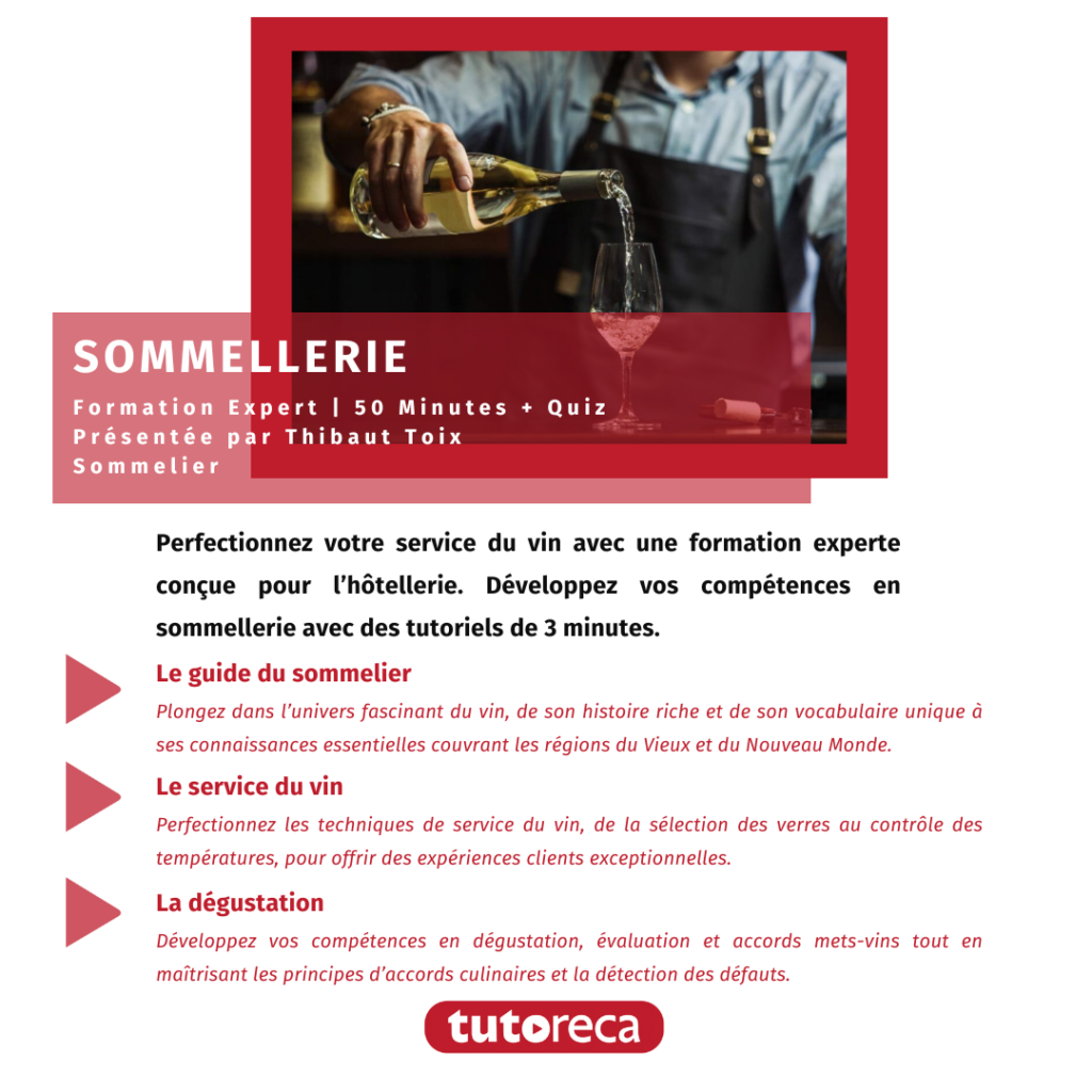 Formation experte en sommellerie par Tutoreca - 50 minutes de tutoriels avec Thibaut Toix